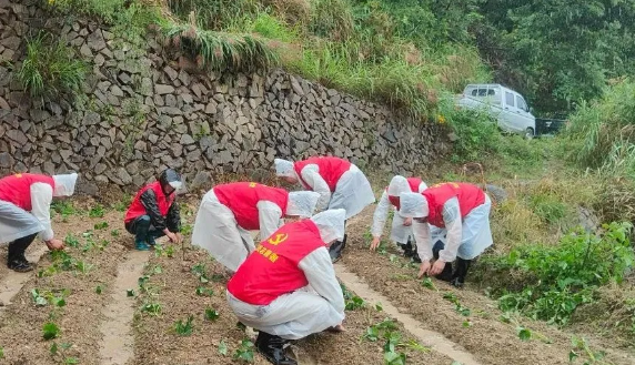 1737443912386090488.png 1-2.png